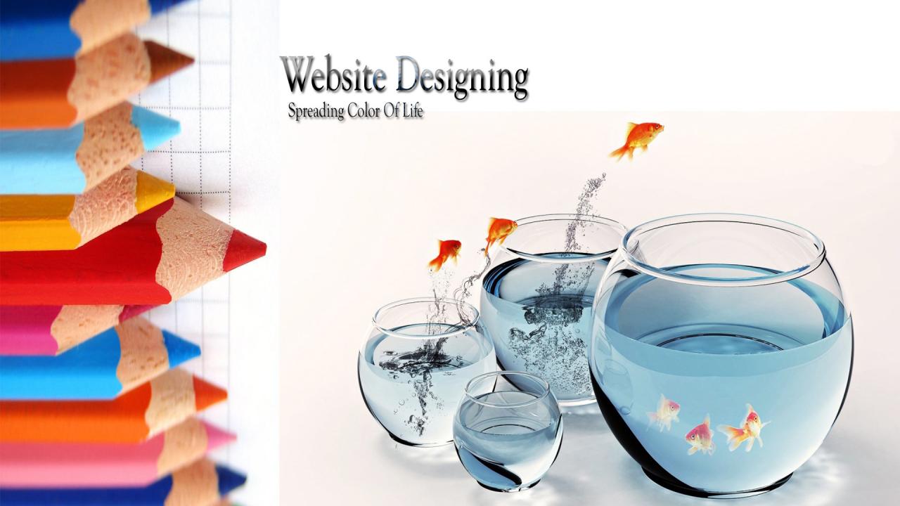 Thiết kế website công ty doanh nghiệp